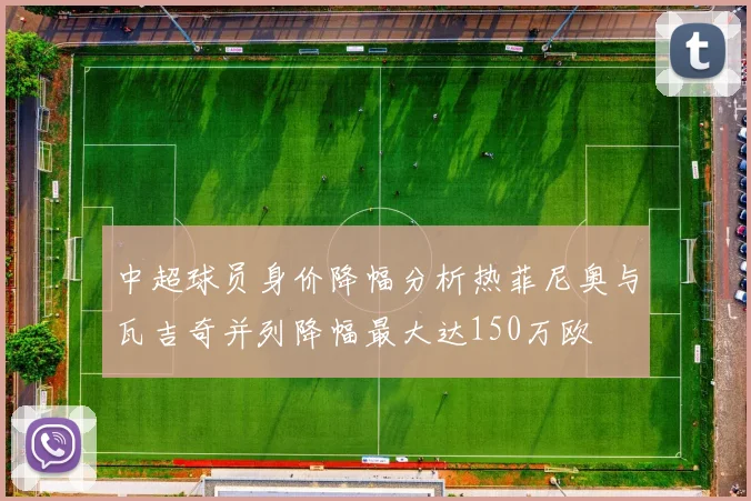 中超球员身价降幅分析热菲尼奥与瓦吉奇并列降幅最大达150万欧